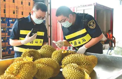 水果進口都要注意哪些問題？進口報關都需要哪些資料？